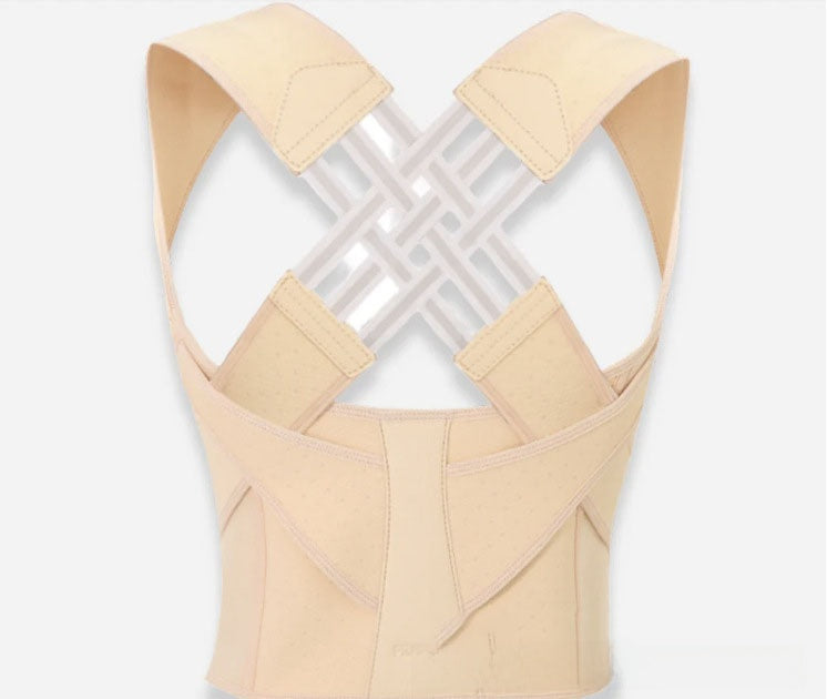 back support posture orthosis